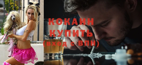 мяу мяу мука Абаза
