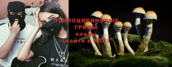 мяу мяу мука Абаза