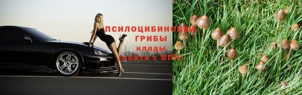 мяу мяу мука Абаза